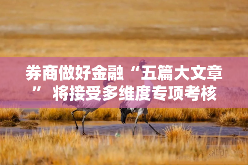 券商做好金融“五篇大文章” 将接受多维度专项考核