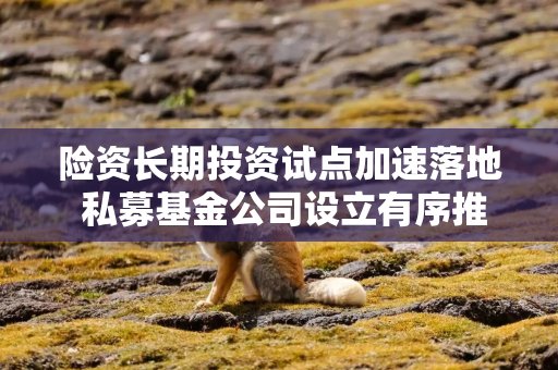 险资长期投资试点加速落地 私募基金公司设立有序推进