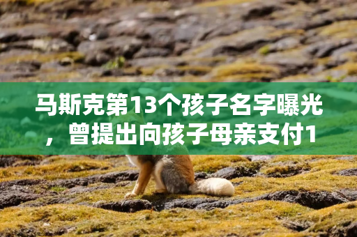 马斯克第13个孩子名字曝光，曾提出向孩子母亲支付1500万美元封口费