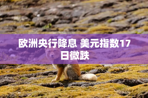 欧洲央行降息 美元指数17日微跌
