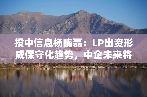 投中信息杨晓磊：LP出资形成保守化趋势，中企未来将通过四种方式出海