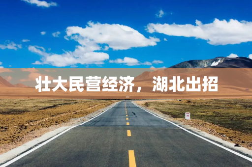 壮大民营经济，湖北出招