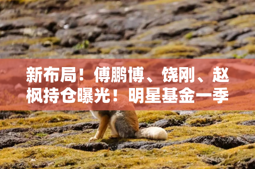 新布局！傅鹏博、饶刚、赵枫持仓曝光！明星基金一季报来了
