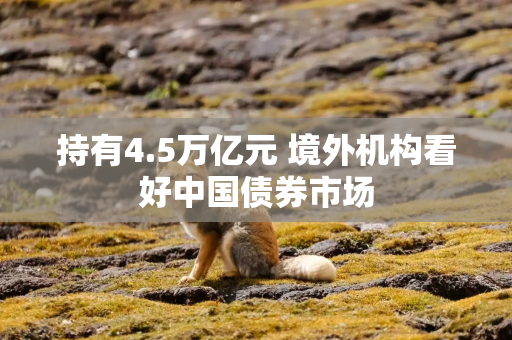 持有4.5万亿元 境外机构看好中国债券市场