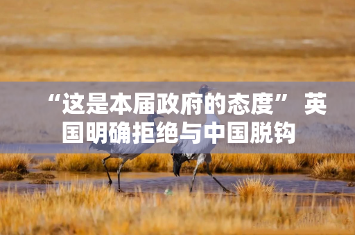 “这是本届政府的态度” 英国明确拒绝与中国脱钩