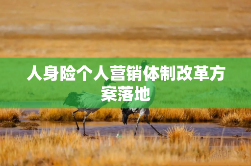 人身险个人营销体制改革方案落地
