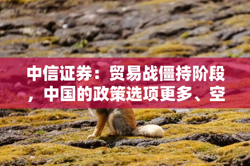 中信证券：贸易战僵持阶段，中国的政策选项更多、空间更大、能耗更久