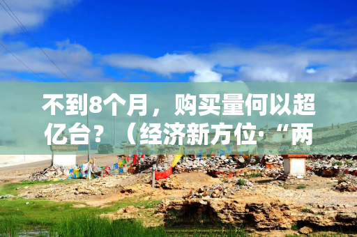不到8个月，购买量何以超亿台？（经济新方位·“两新”政策发力显效）