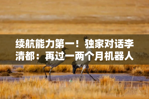续航能力第一！独家对话李清都：再过一两个月机器人将再提速1.5倍