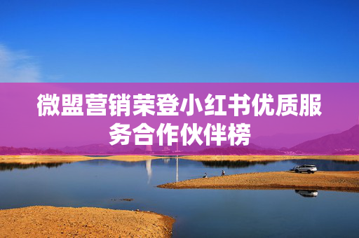 微盟营销荣登小红书优质服务合作伙伴榜