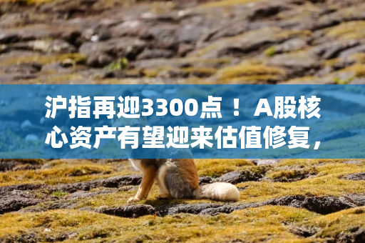 沪指再迎3300点 ！A股核心资产有望迎来估值修复，A500指数ETF（159351）上涨0.43%
