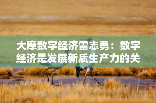 大摩数字经济雷志勇：数字经济是发展新质生产力的关键领域