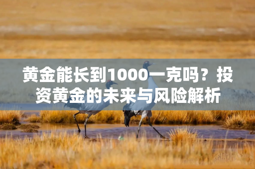黄金能长到1000一克吗？投资黄金的未来与风险解析