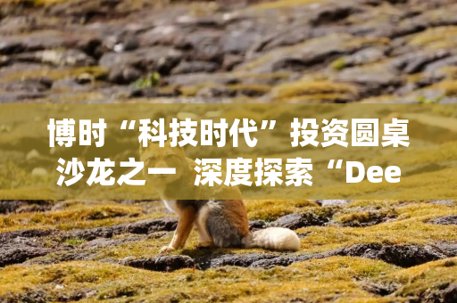 博时“科技时代”投资圆桌沙龙之一  深度探索“Deep Seek与AI投资”机遇