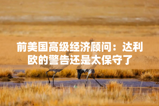 前美国高级经济顾问：达利欧的警告还是太保守了