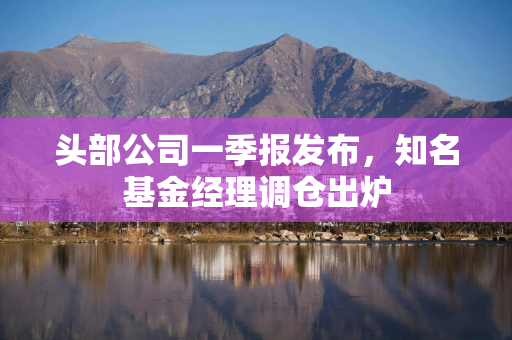 头部公司一季报发布，知名基金经理调仓出炉