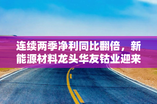连续两季净利同比翻倍，新能源材料龙头华友钴业迎来业绩反转