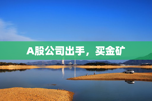 A股公司出手，买金矿