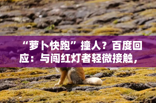 “萝卜快跑”撞人？百度回应：与闯红灯者轻微接触，已陪同送医检查