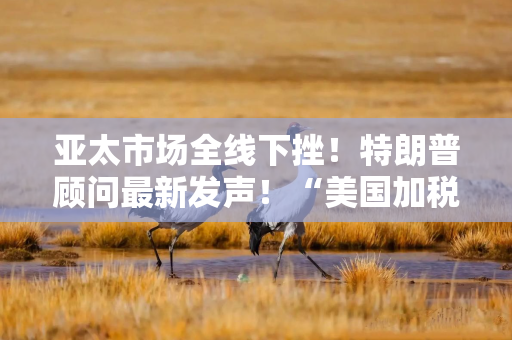 亚太市场全线下挫！特朗普顾问最新发声！“美国加税名单里没有俄罗斯”，白宫回应→