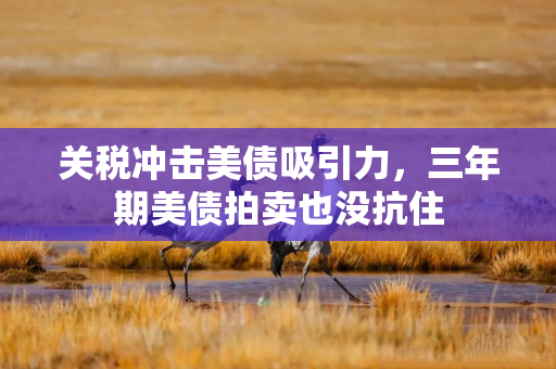 关税冲击美债吸引力，三年期美债拍卖也没抗住