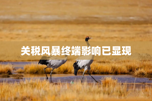 关税风暴终端影响已显现