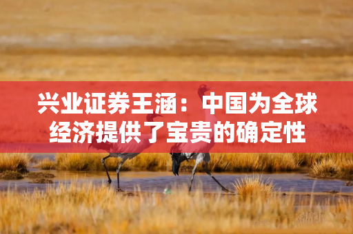 兴业证券王涵：中国为全球经济提供了宝贵的确定性