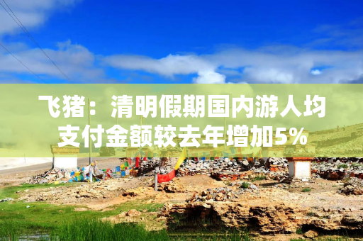 飞猪：清明假期国内游人均支付金额较去年增加5%