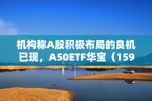 机构称A股积极布局的良机已现，A50ETF华宝（159596）涨0.67%