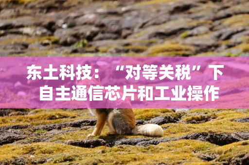 东土科技：“对等关税”下  自主通信芯片和工业操作系统全力护航国家工业安全