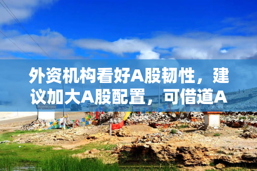 外资机构看好A股韧性，建议加大A股配置，可借道A50ETF华宝（159596）布局