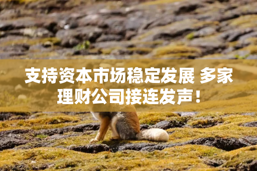 支持资本市场稳定发展 多家理财公司接连发声！