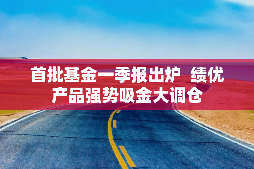 首批基金一季报出炉  绩优产品强势吸金大调仓