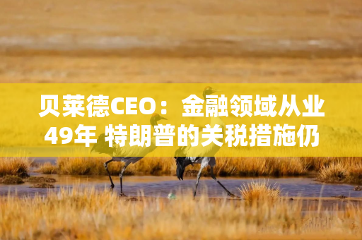 贝莱德CEO：金融领域从业49年 特朗普的关税措施仍远超我的想象
