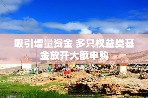 吸引增量资金 多只权益类基金放开大额申购