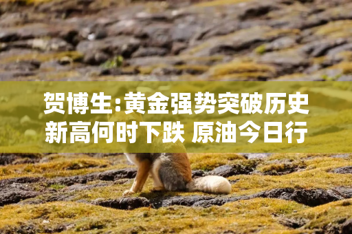 贺博生:黄金强势突破历史新高何时下跌 原油今日行情最新多空操作建议