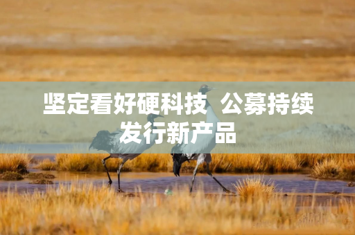 坚定看好硬科技  公募持续发行新产品