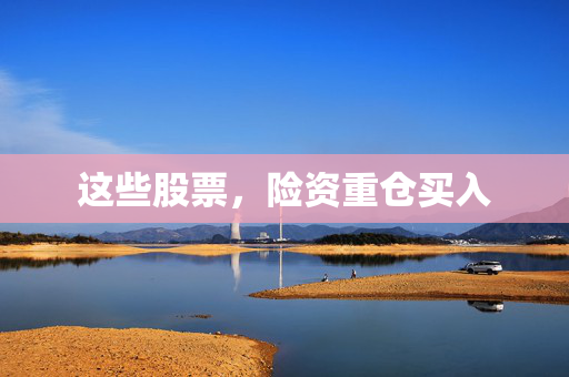 这些股票，险资重仓买入