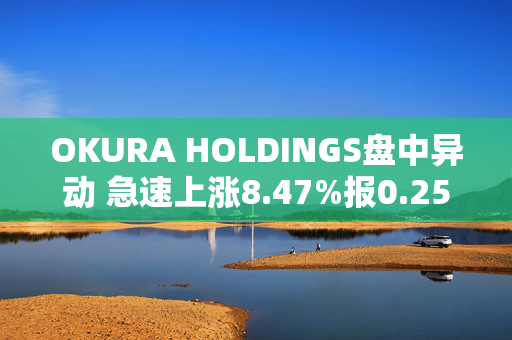 OKURA HOLDINGS盘中异动 急速上涨8.47%报0.256港元