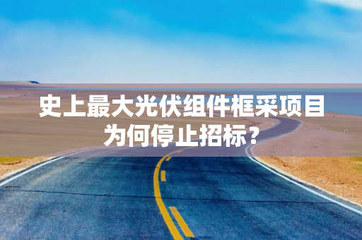 史上最大光伏组件框采项目为何停止招标？