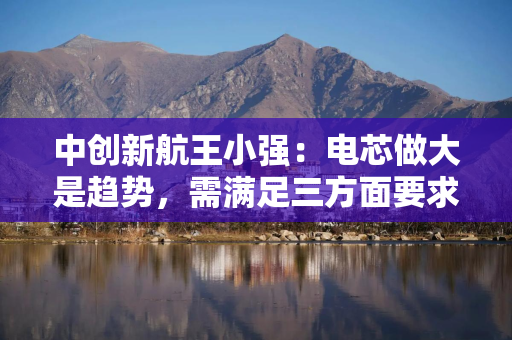 中创新航王小强：电芯做大是趋势，需满足三方面要求缺一不可