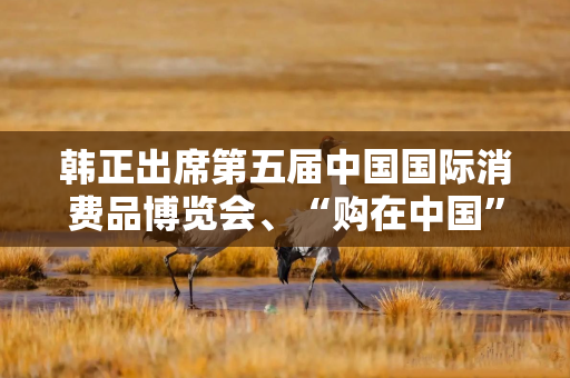 韩正出席第五届中国国际消费品博览会、“购在中国”系列活动启动仪式
