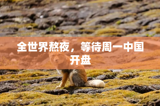 全世界熬夜，等待周一中国开盘