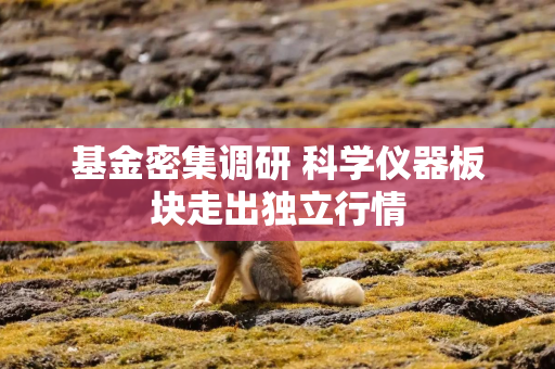 基金密集调研 科学仪器板块走出独立行情