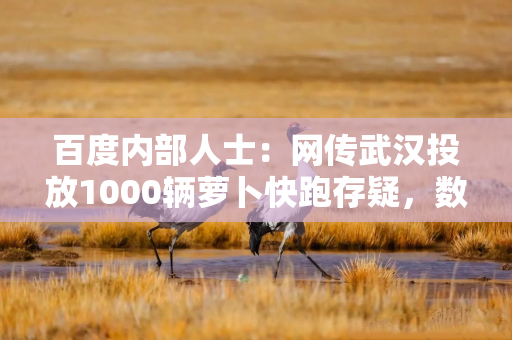 百度内部人士：网传武汉投放1000辆萝卜快跑存疑，数量从未公开