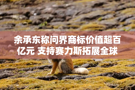 余承东称问界商标价值超百亿元 支持赛力斯拓展全球市场