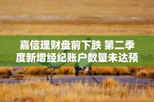 嘉信理财盘前下跌 第二季度新增经纪账户数量未达预期