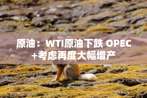 原油：WTI原油下跌 OPEC+考虑再度大幅增产