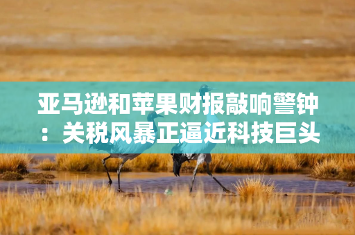 亚马逊和苹果财报敲响警钟：关税风暴正逼近科技巨头
