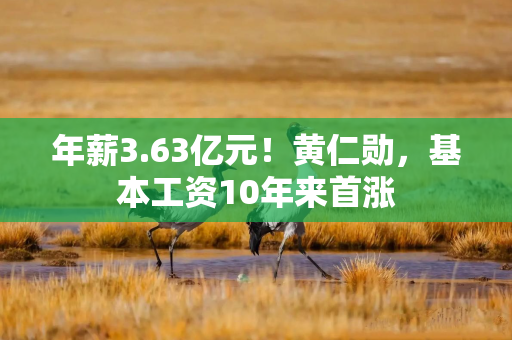 年薪3.63亿元！黄仁勋，基本工资10年来首涨
